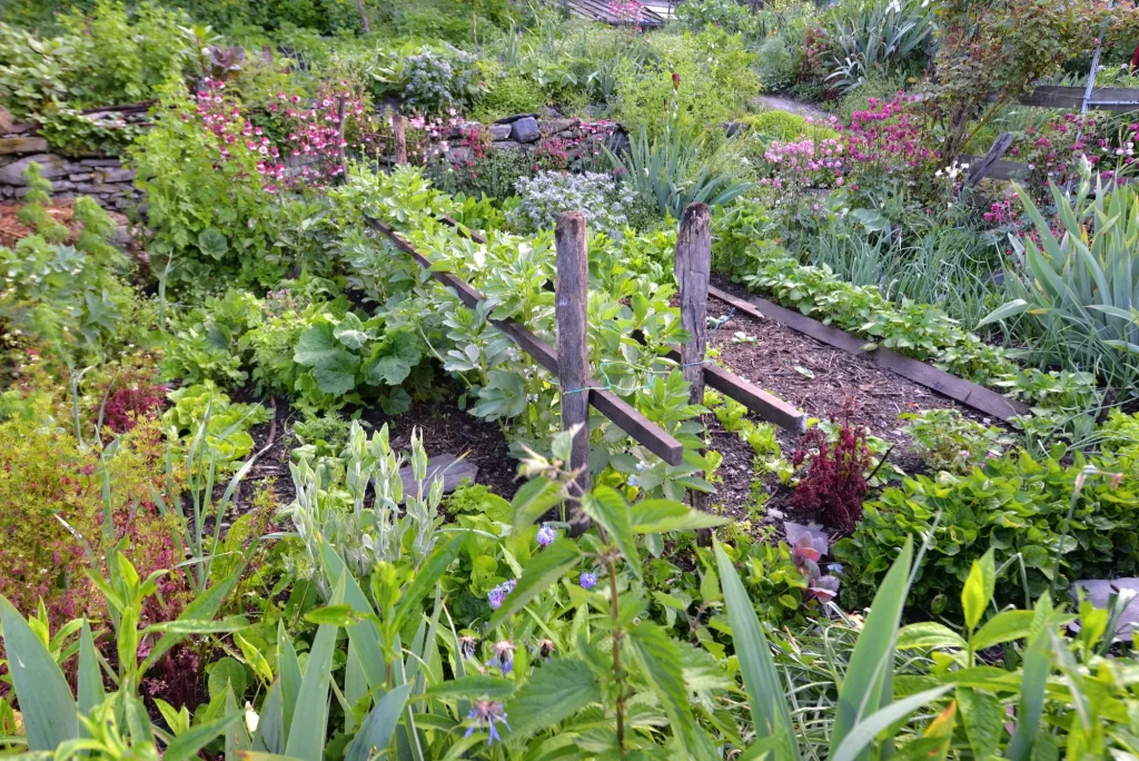 How Permaculture Shaped My Approach to Natural Skincare 18 permaculture garden
