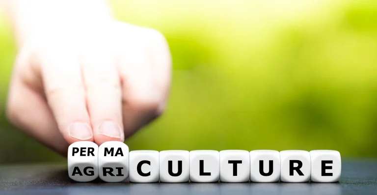 permaculture