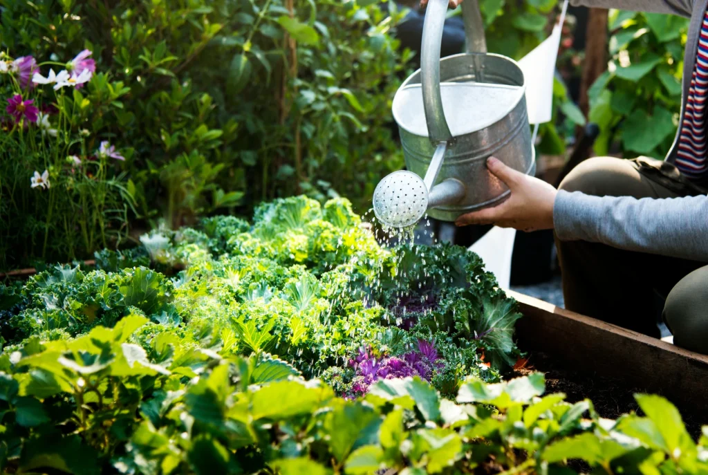 How Permaculture Shaped My Approach to Natural Skincare 14 woman watering plants 1